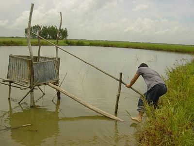 chuyển nh&agrave; x&iacute;